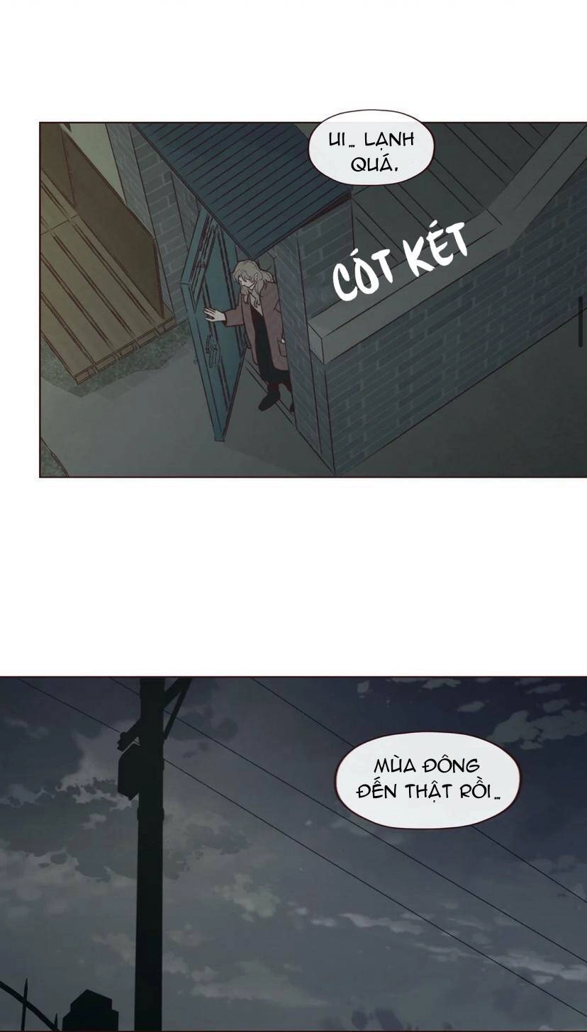 Vận Mệnh Không Mắc Sai Lầm Chapter 51 - 10