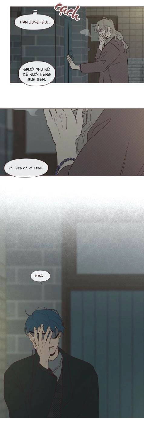 Vận Mệnh Không Mắc Sai Lầm Chapter 51 - 13