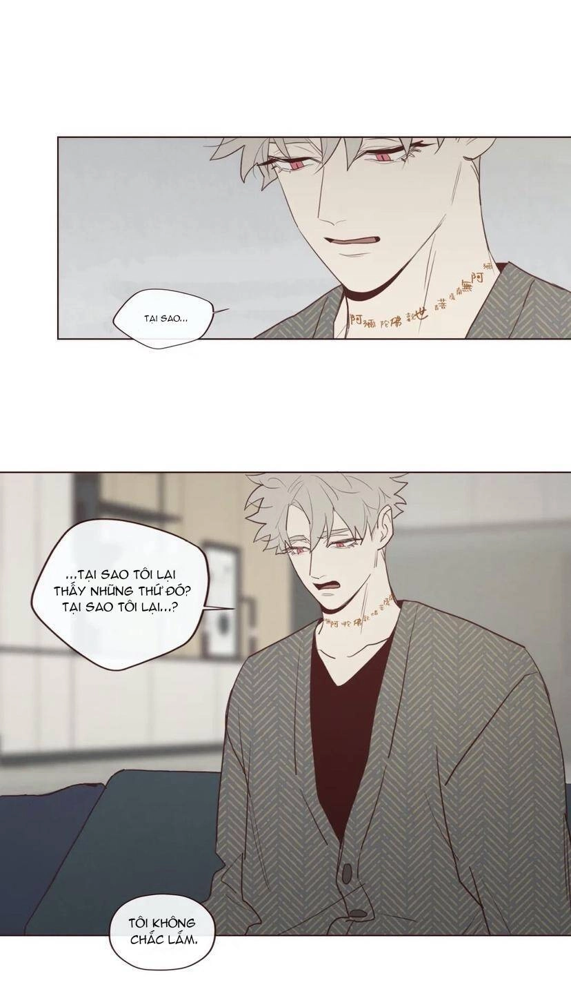 Vận Mệnh Không Mắc Sai Lầm Chapter 52 - 4