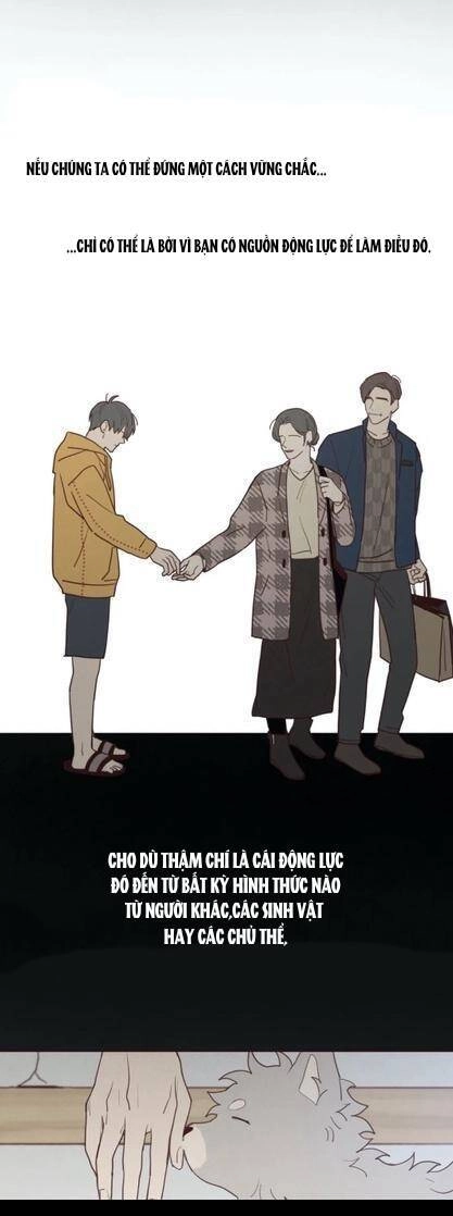 Vận Mệnh Không Mắc Sai Lầm Chapter 52 - 13