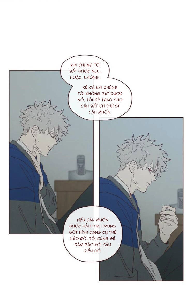 Vận Mệnh Không Mắc Sai Lầm Chapter 56 - 30