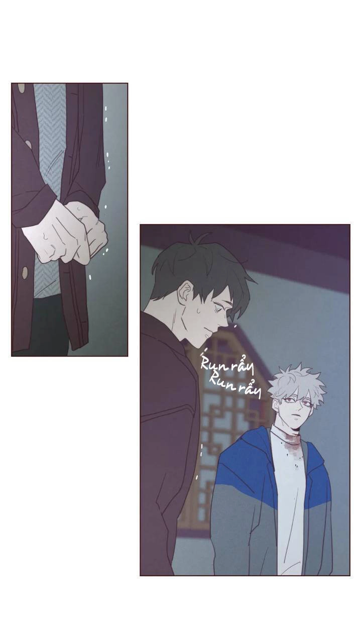 Vận Mệnh Không Mắc Sai Lầm Chapter 56 - 46