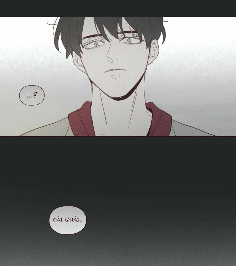 Vận Mệnh Không Mắc Sai Lầm Chapter 58 - 29