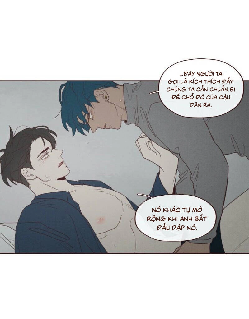 Vận Mệnh Không Mắc Sai Lầm Chapter 59 - 13