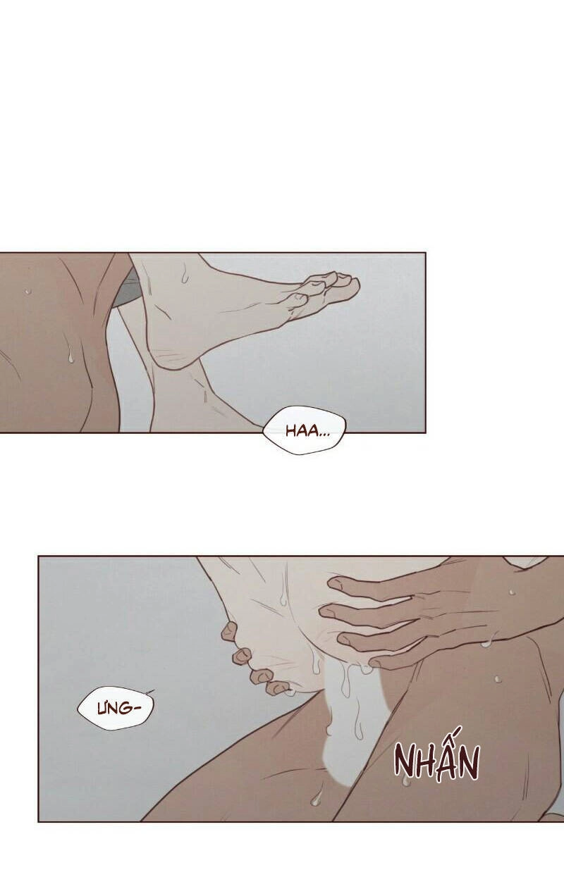 Vận Mệnh Không Mắc Sai Lầm Chapter 60 - 6