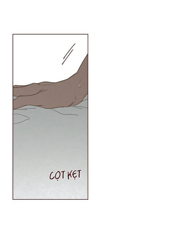 Vận Mệnh Không Mắc Sai Lầm Chapter 60 - 11