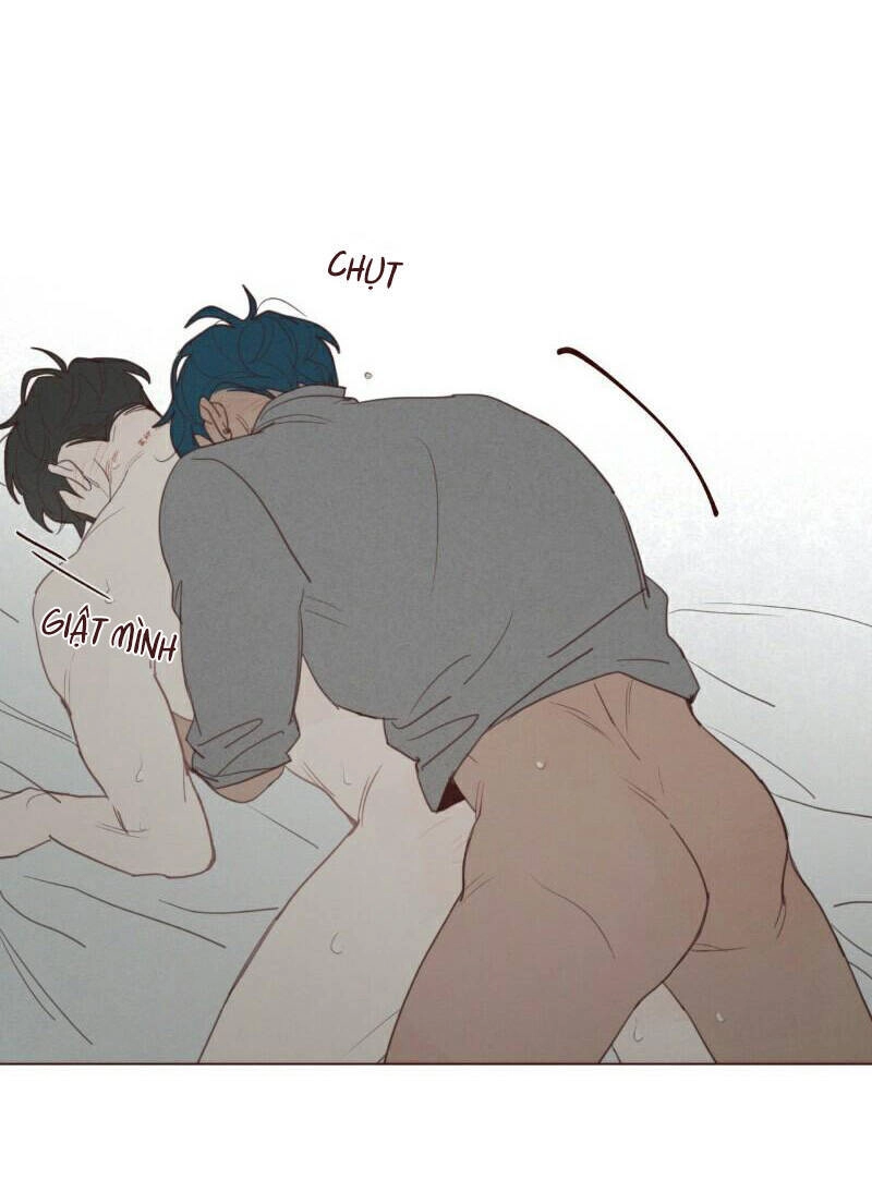 Vận Mệnh Không Mắc Sai Lầm Chapter 60 - 14