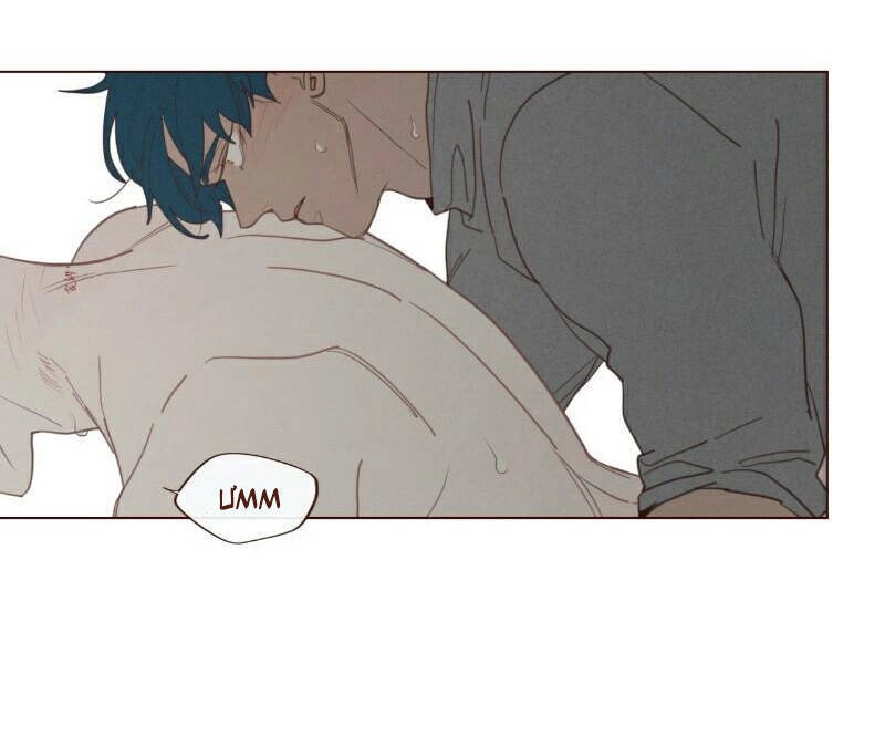 Vận Mệnh Không Mắc Sai Lầm Chapter 60 - 15