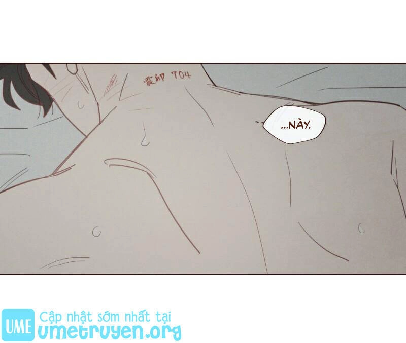 Vận Mệnh Không Mắc Sai Lầm Chapter 60 - 16