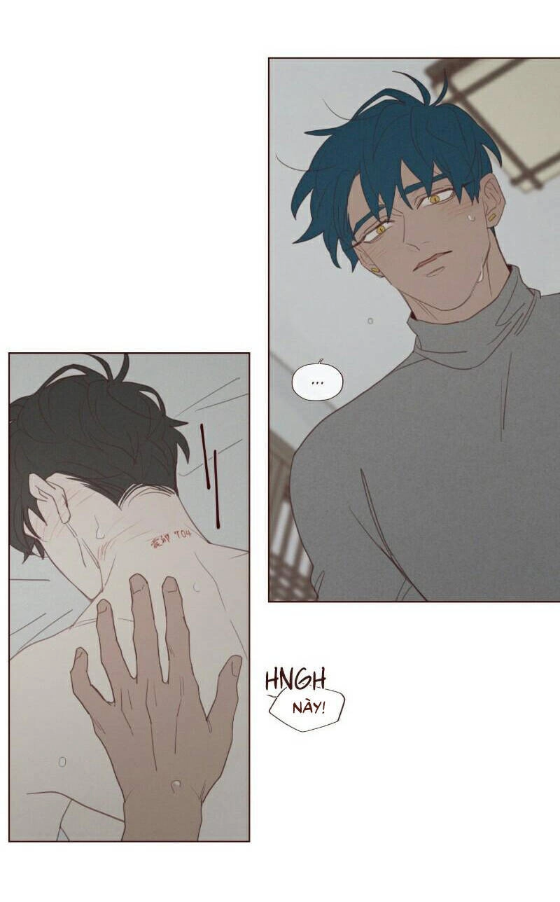 Vận Mệnh Không Mắc Sai Lầm Chapter 60 - 17