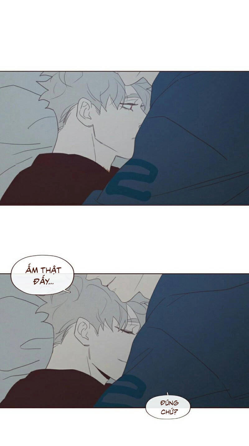 Vận Mệnh Không Mắc Sai Lầm Chapter 61 - 57