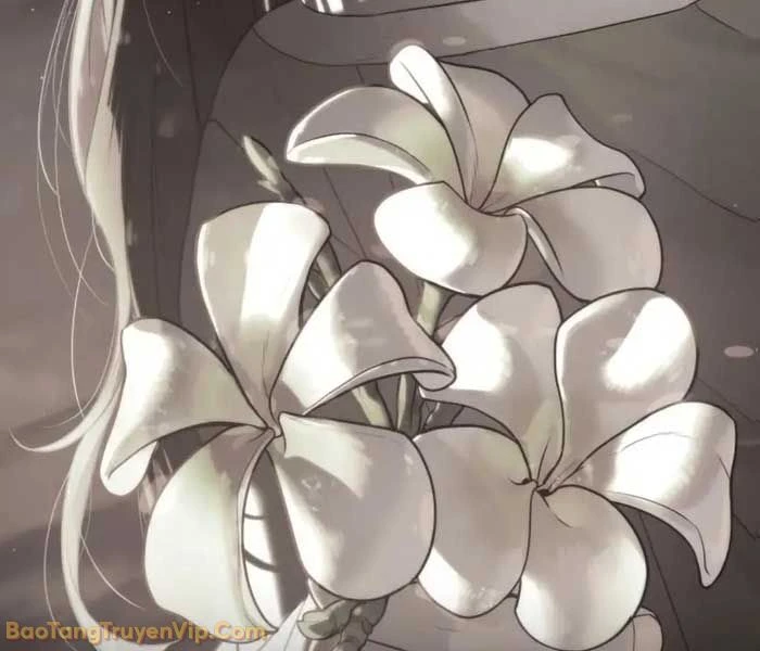 Sát Thủ Peter Chapter 107 - 268