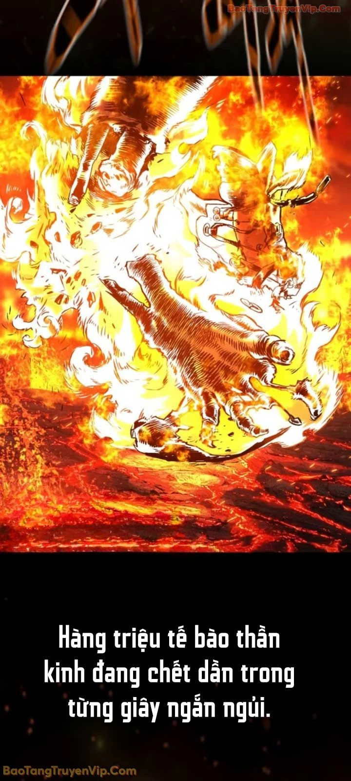 Sát Thủ Peter Chapter 117 - 88