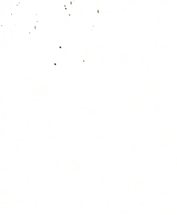 Sát Thủ Peter Chapter 131 - 368