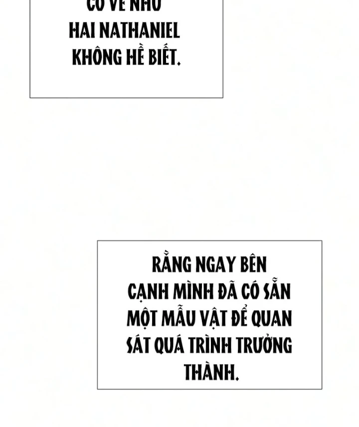 Sát Thủ Peter Chapter 135 - 66