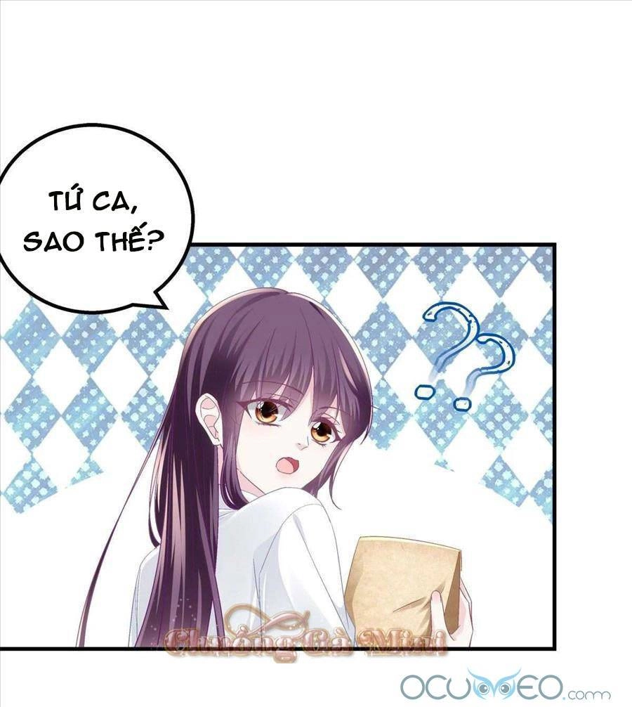 Bảo Bối Của Lão Đại Đã Xuyên Không Trở Về! Chapter 52 - 3