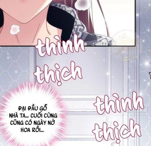 Bảo Bối Của Lão Đại Đã Xuyên Không Trở Về! Chapter 59 - 24