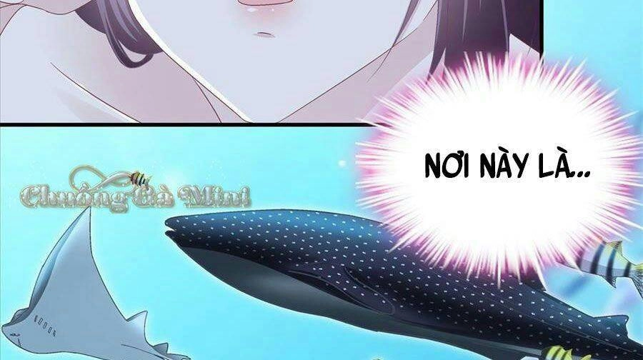 Bảo Bối Của Lão Đại Đã Xuyên Không Trở Về! Chapter 64 - 51