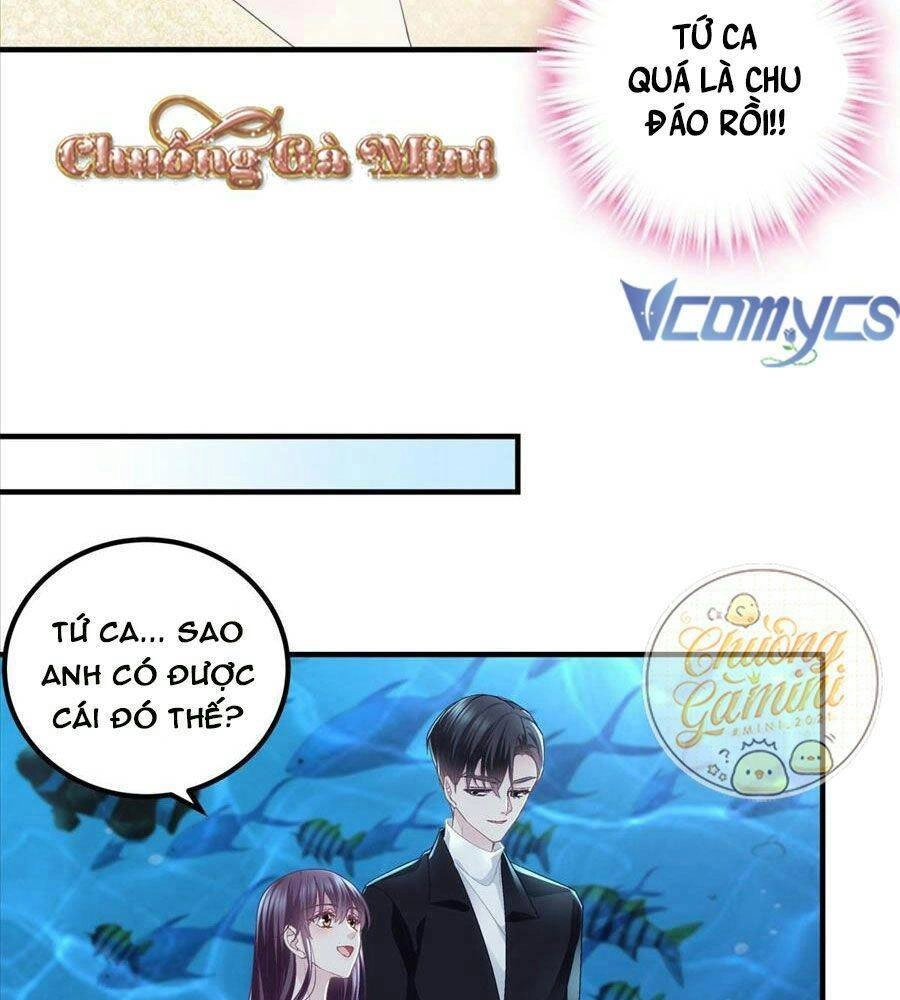 Bảo Bối Của Lão Đại Đã Xuyên Không Trở Về! Chapter 66 - 33