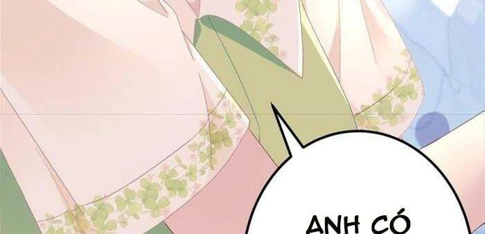 Bảo Bối Của Lão Đại Đã Xuyên Không Trở Về! Chapter 79 - 29