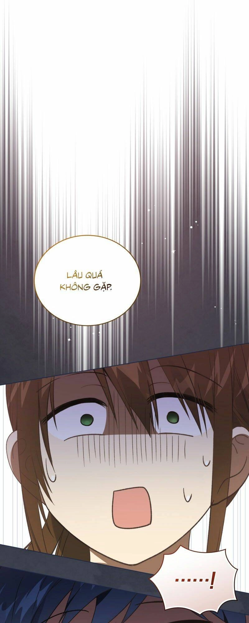 Tôi Là Vị Hôn Thê Của Nam Phụ Phản Diện Chapter 28 - 9