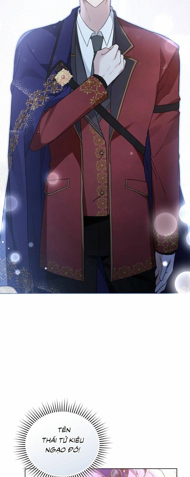 Tôi Là Vị Hôn Thê Của Nam Phụ Phản Diện Chapter 29 - 42