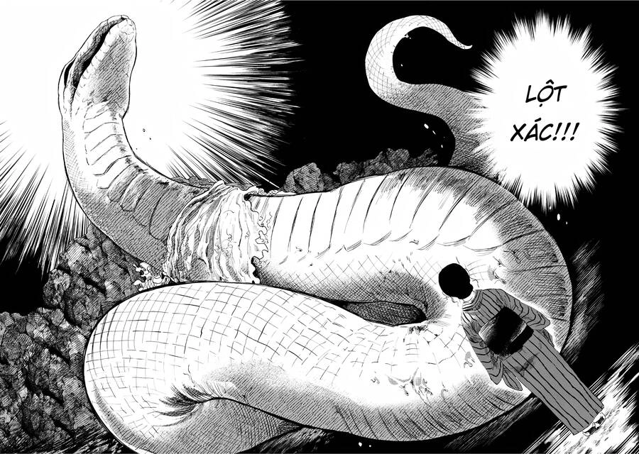 Đại Xà Phu Nhân Chapter 3 - 18