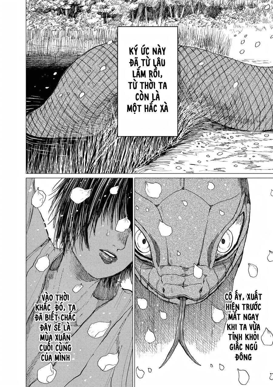 Đại Xà Phu Nhân Chapter 14 - 8