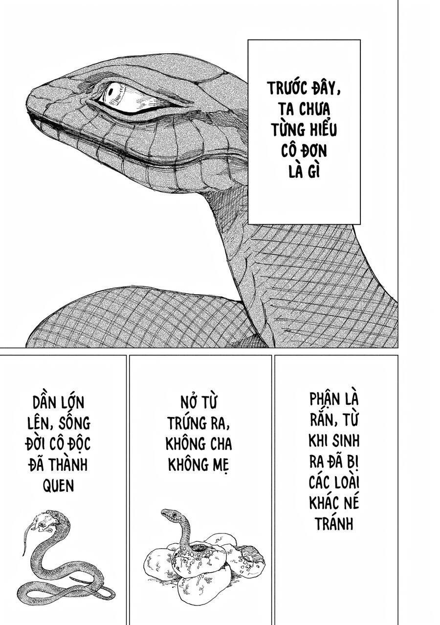 Đại Xà Phu Nhân Chapter 14 - 41