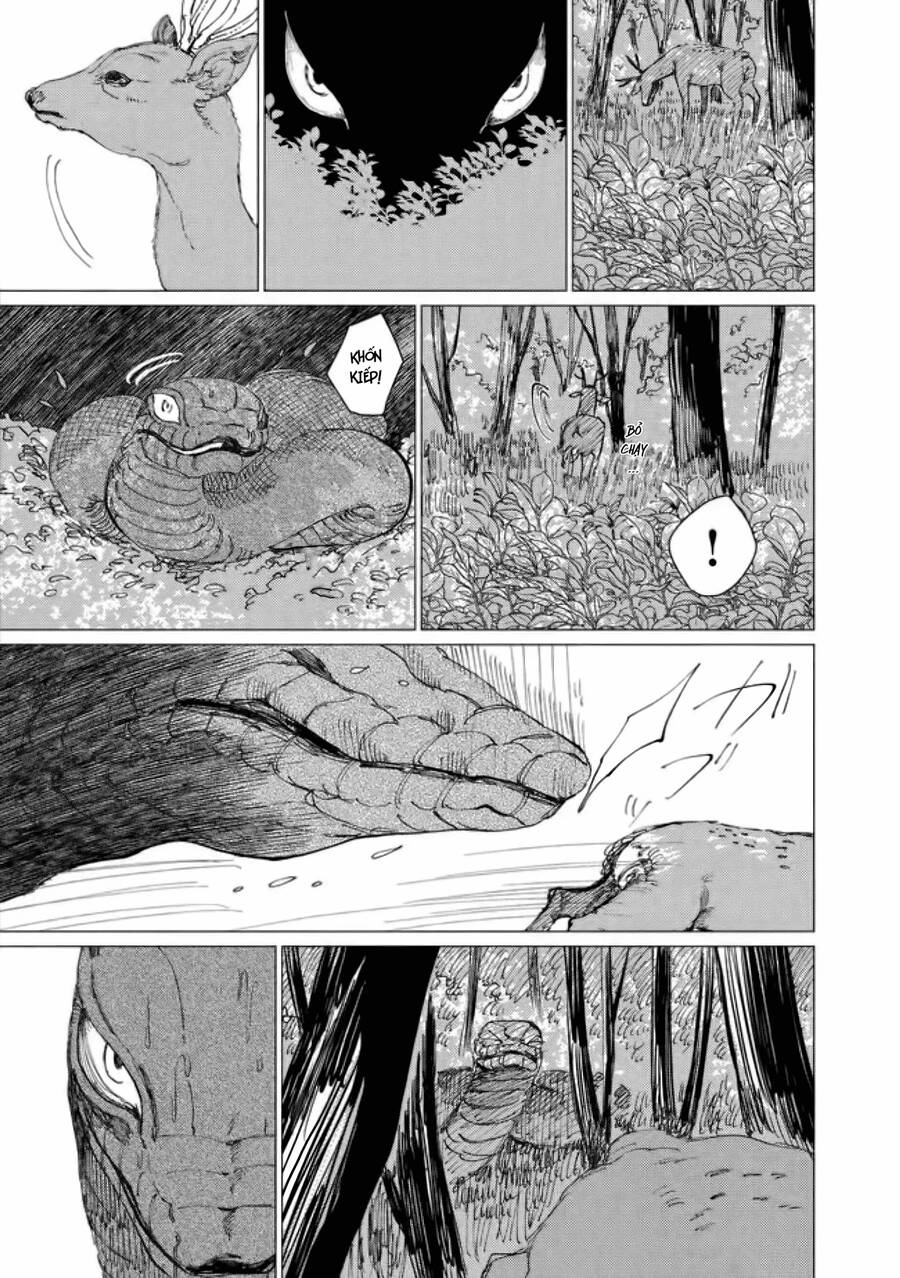 Đại Xà Phu Nhân Chapter 15 - 8