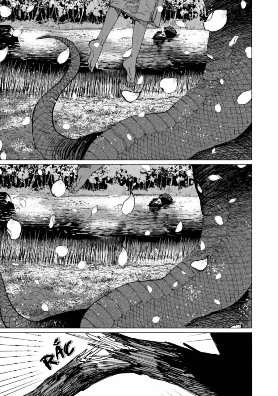 Đại Xà Phu Nhân Chapter 15 - 20