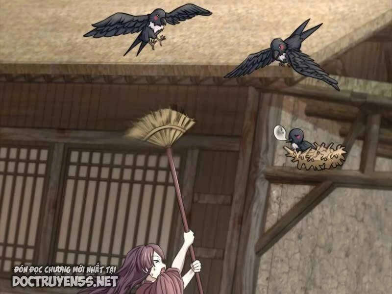 Bắt Đầu Livestream Ở Địa Phủ: Phát Sóng Trực Tiếp Ở Đây Ai Dám Đến Chapter 146 - 12