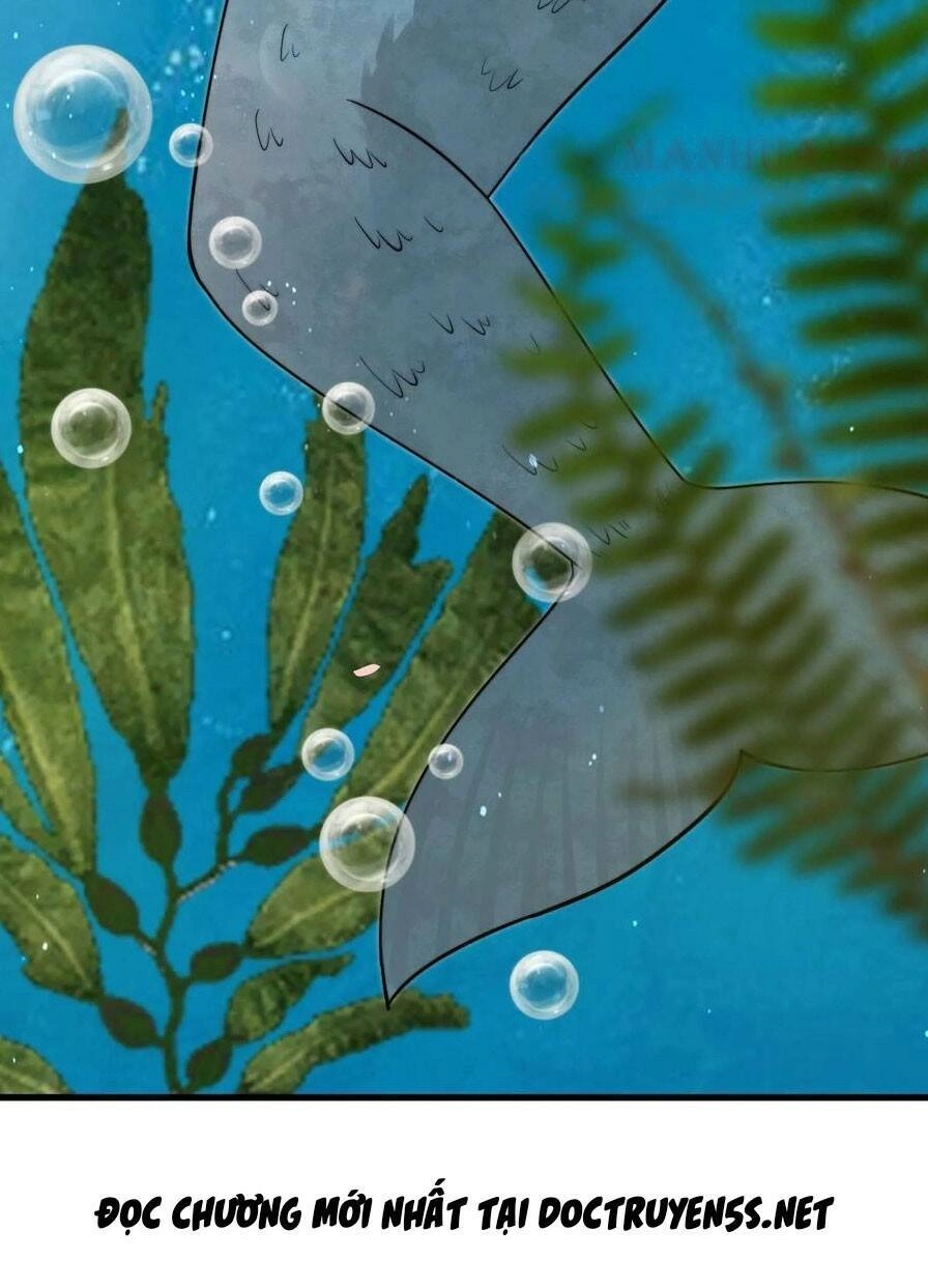 Bắt Đầu Livestream Ở Địa Phủ: Phát Sóng Trực Tiếp Ở Đây Ai Dám Đến Chapter 225 - 40