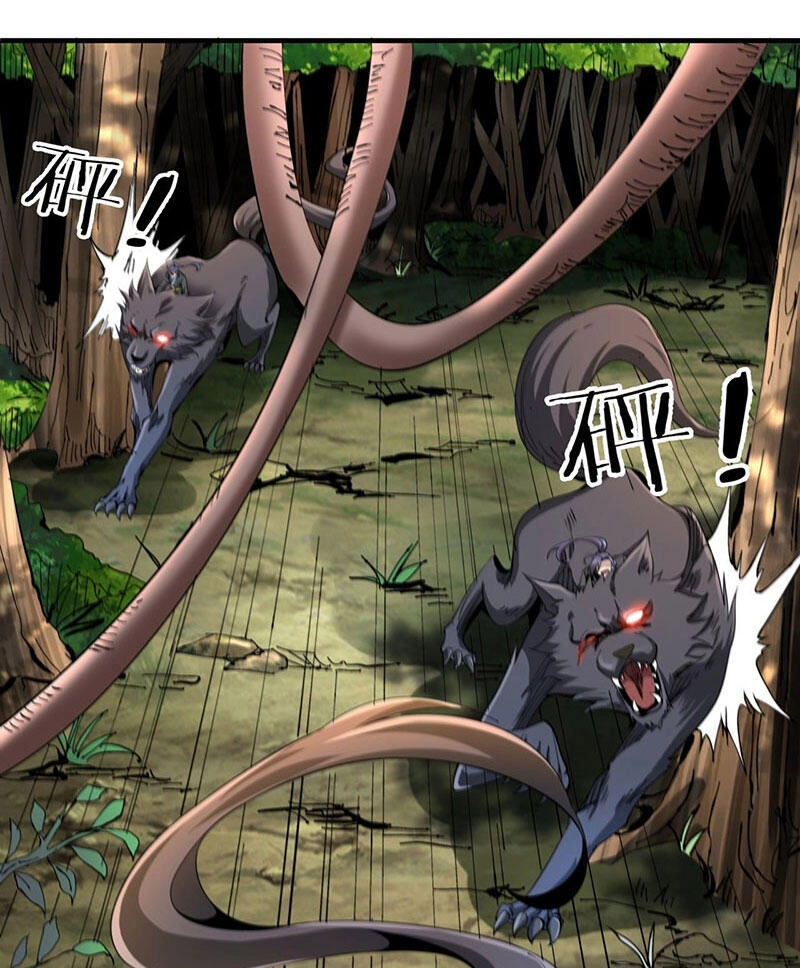 Không Có Đạo Lữ Sẽ Chết Chapter 5 - 37