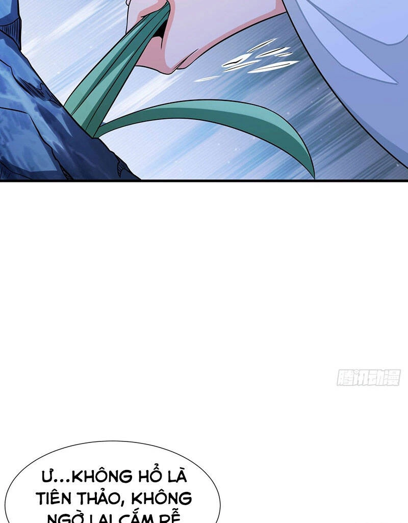 Không Có Đạo Lữ Sẽ Chết Chapter 20 - 36