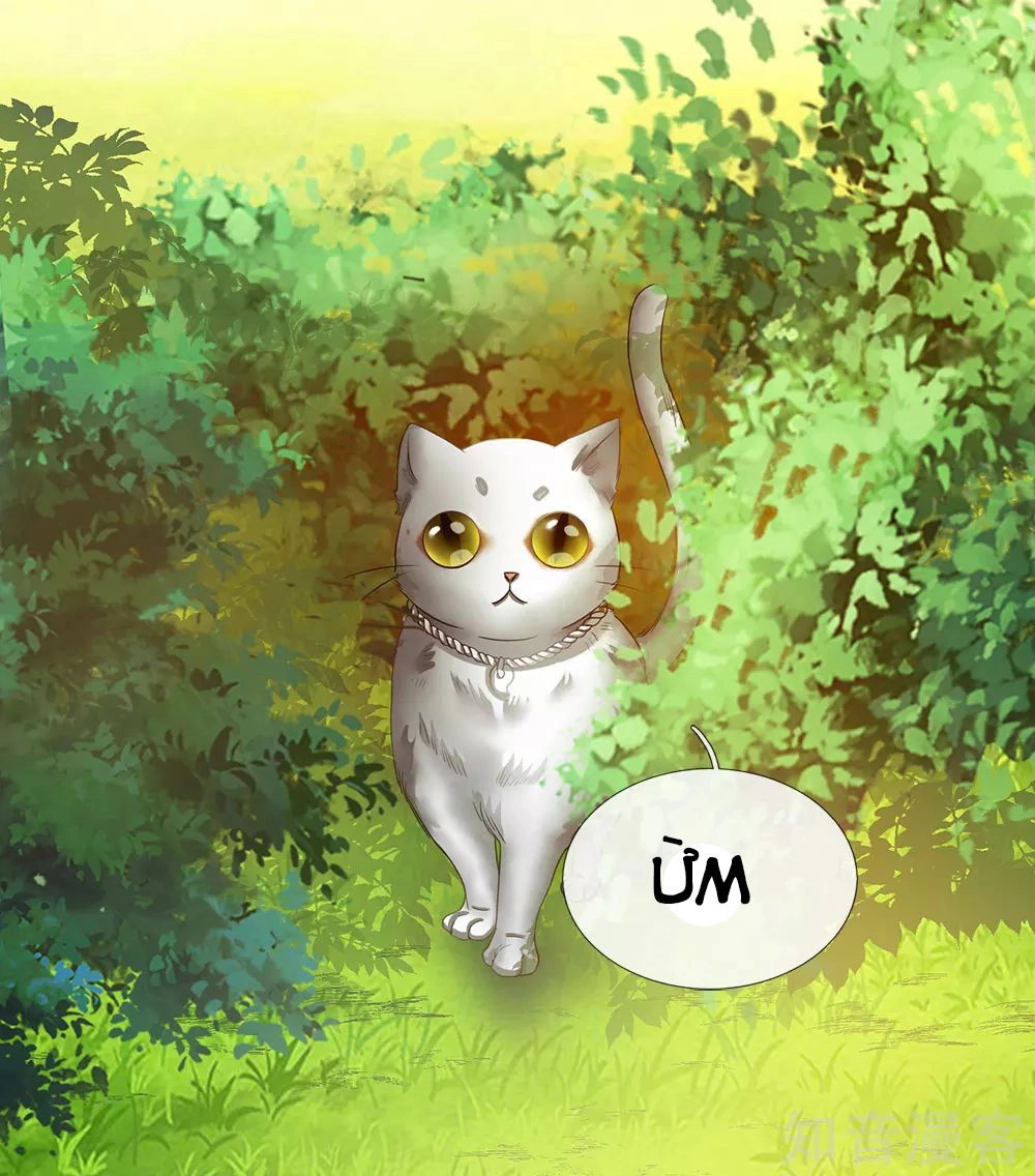 Nghịch Thiên Kiếm Thần Chapter 76 - 10