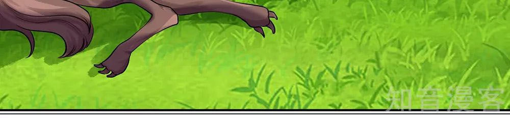 Nghịch Thiên Kiếm Thần Chapter 80 - 21