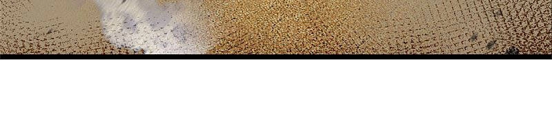 Nghịch Thiên Kiếm Thần Chapter 379 - 21