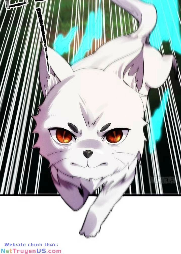 Thê Tử Của Ta Là Đại Lão Đại Thừa Kỳ Chapter 11 - 5