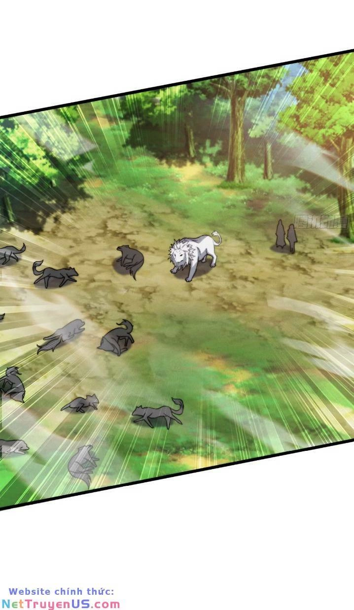 Thê Tử Của Ta Là Đại Lão Đại Thừa Kỳ Chapter 11 - 12