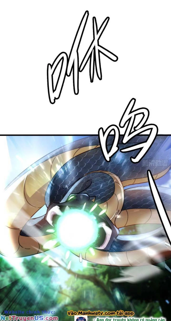 Thê Tử Của Ta Là Đại Lão Đại Thừa Kỳ Chapter 11 - 22