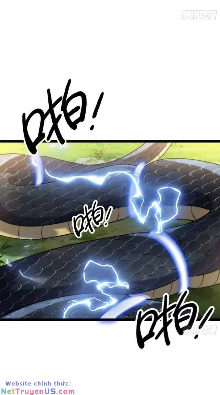 Thê Tử Của Ta Là Đại Lão Đại Thừa Kỳ Chapter 12 - 8