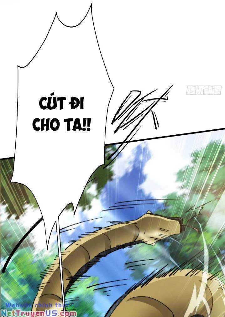 Thê Tử Của Ta Là Đại Lão Đại Thừa Kỳ Chapter 12 - 29