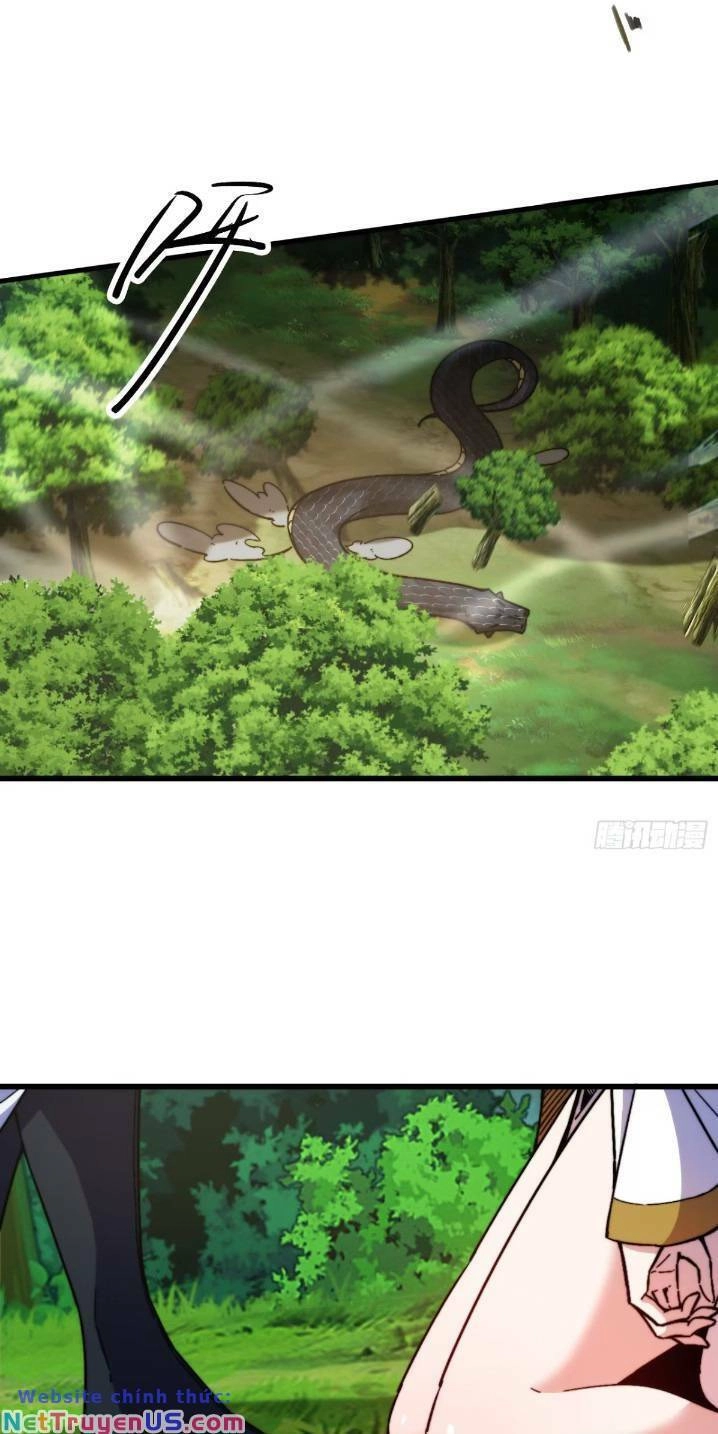 Thê Tử Của Ta Là Đại Lão Đại Thừa Kỳ Chapter 12 - 31