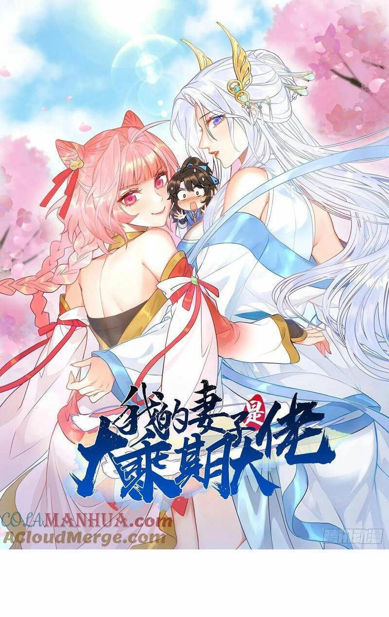 Thê Tử Của Ta Là Đại Lão Đại Thừa Kỳ Chapter 30 - 1