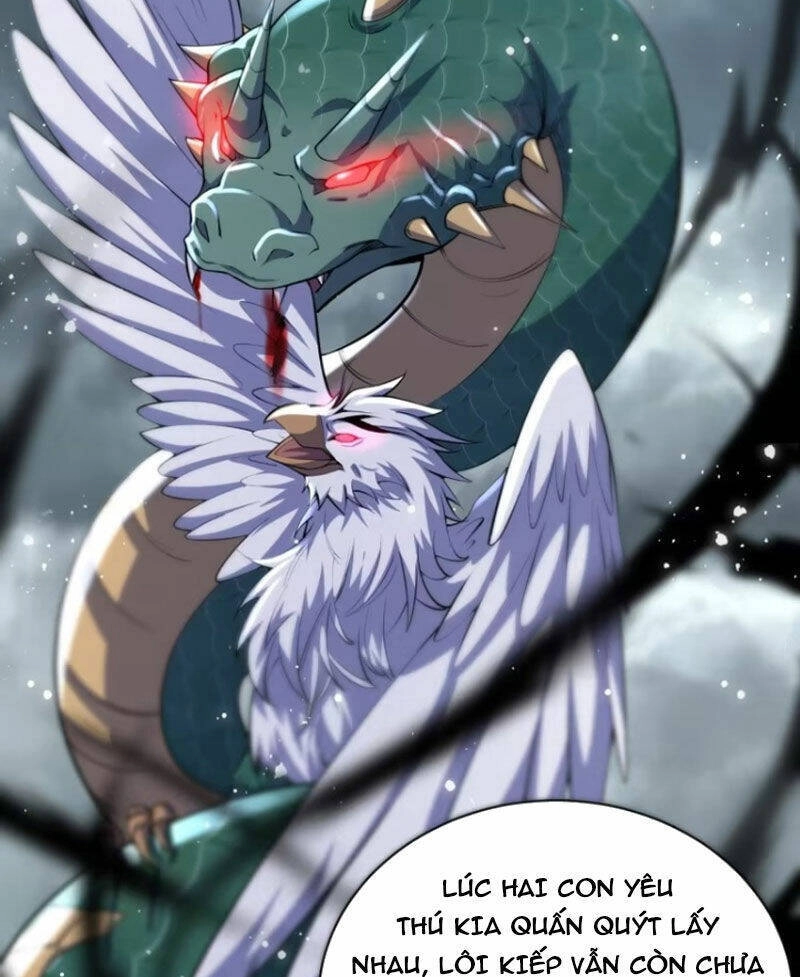 Thê Tử Của Ta Là Đại Lão Đại Thừa Kỳ Chapter 42 - 72