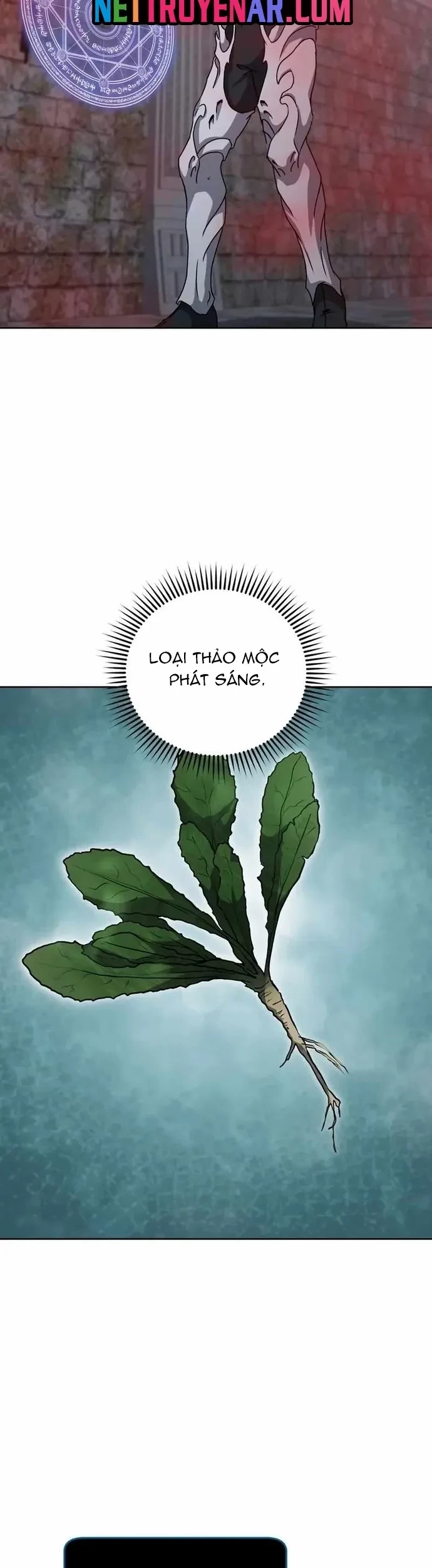 Tử Linh Sư Thiên Tài Của Học Viện Chapter 206 - 47