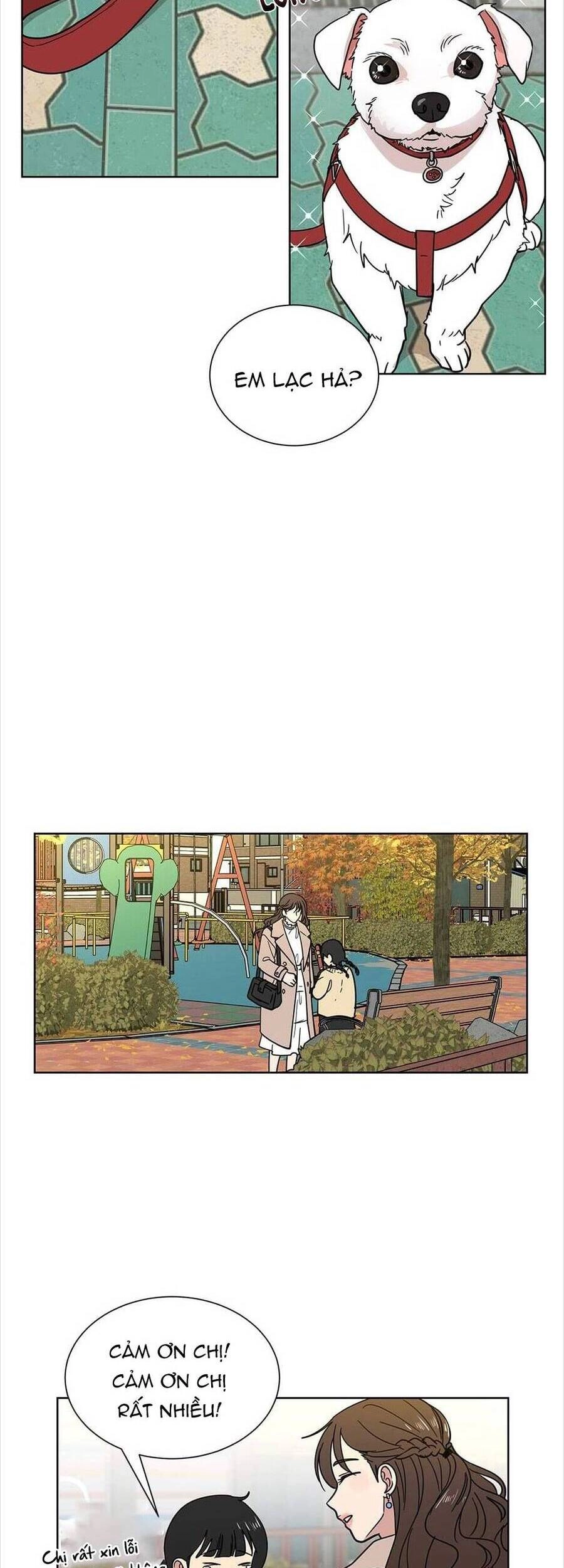 Tình Yêu Chỉ Mình Em Biết Chapter 43 - 19