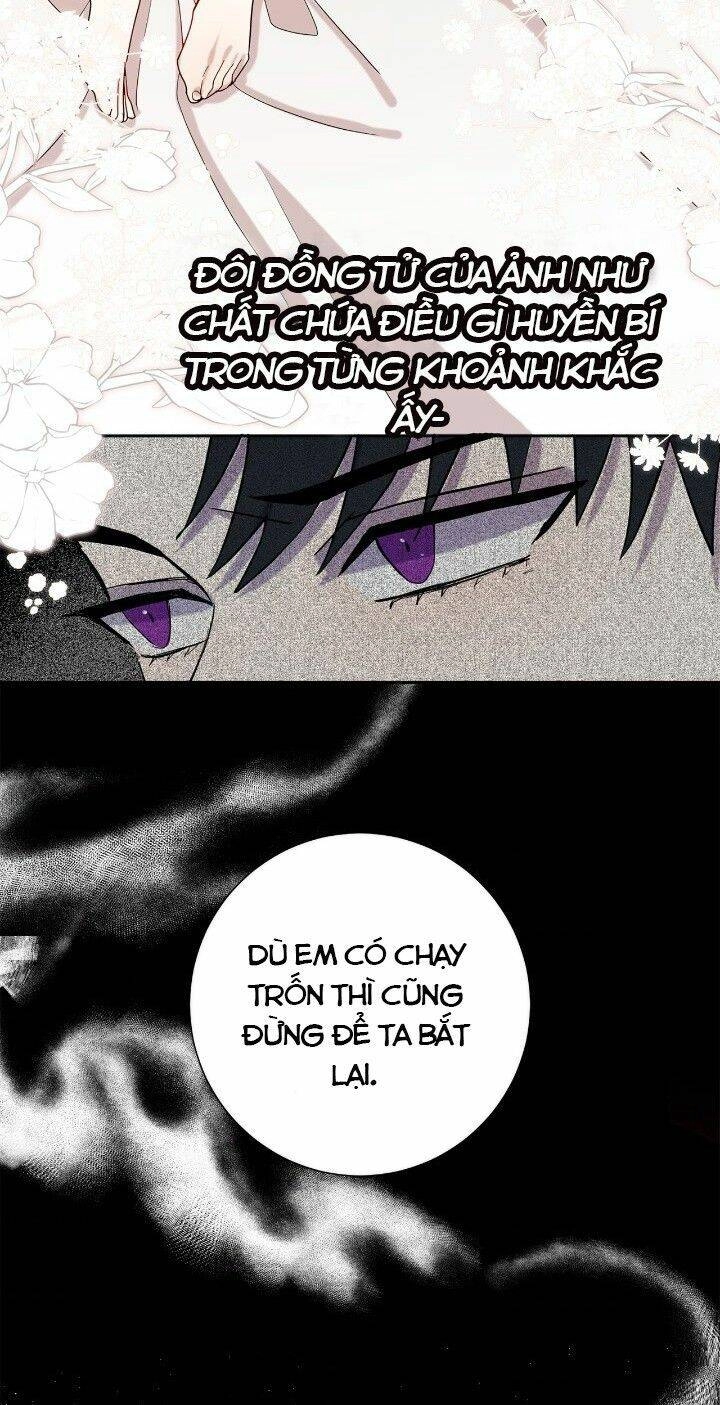 Xin Ngài Đừng Ăn Tôi. Chapter 23 - 31