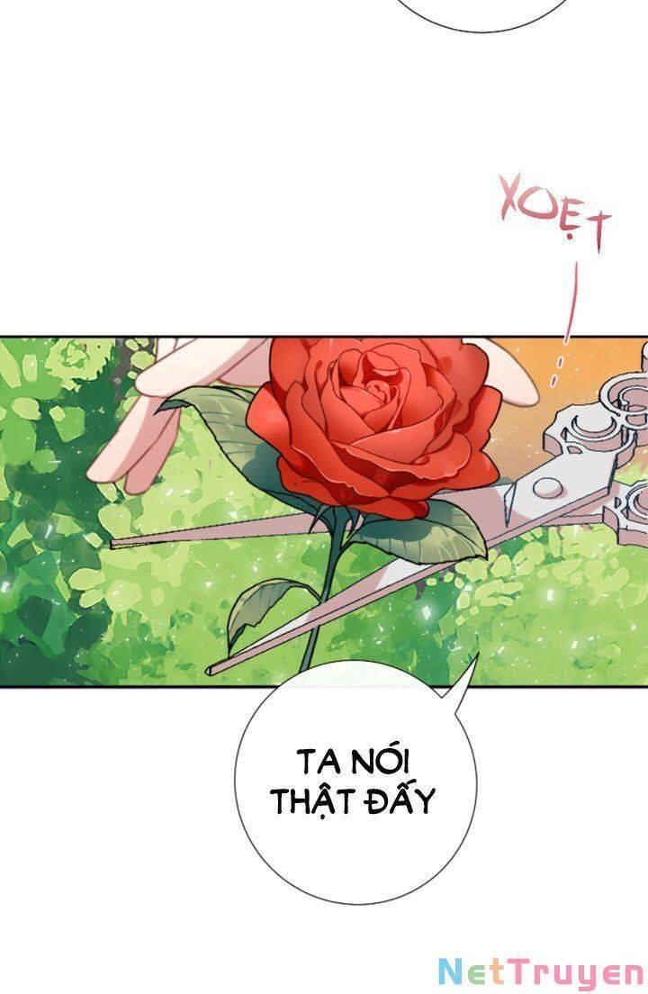 Xin Ngài Đừng Ăn Tôi. Chapter 48 - 34